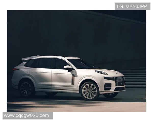 火箭评分出炉:是高光还是低迷?